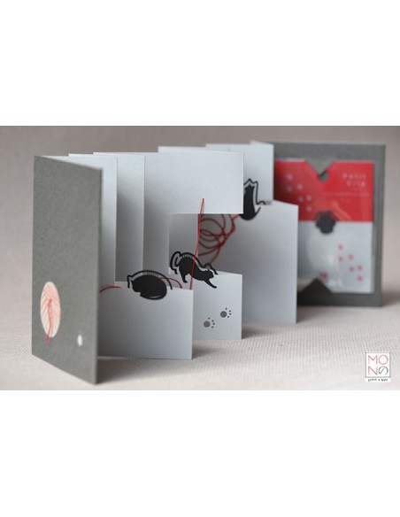 concertina clip sul filo del gomitolo