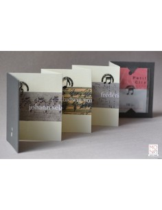 concertina clip musica maestro