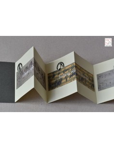 concertina clip musica maestro 2