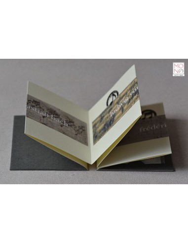 concertina clip musica maestro