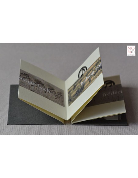 concertina clip musica maestro